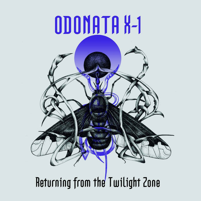 Returning from the twilight zone - ODONATA