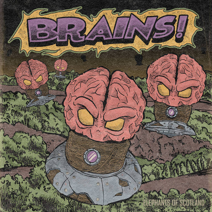 Brains! - ELEPHANTS OF SCOTLAND