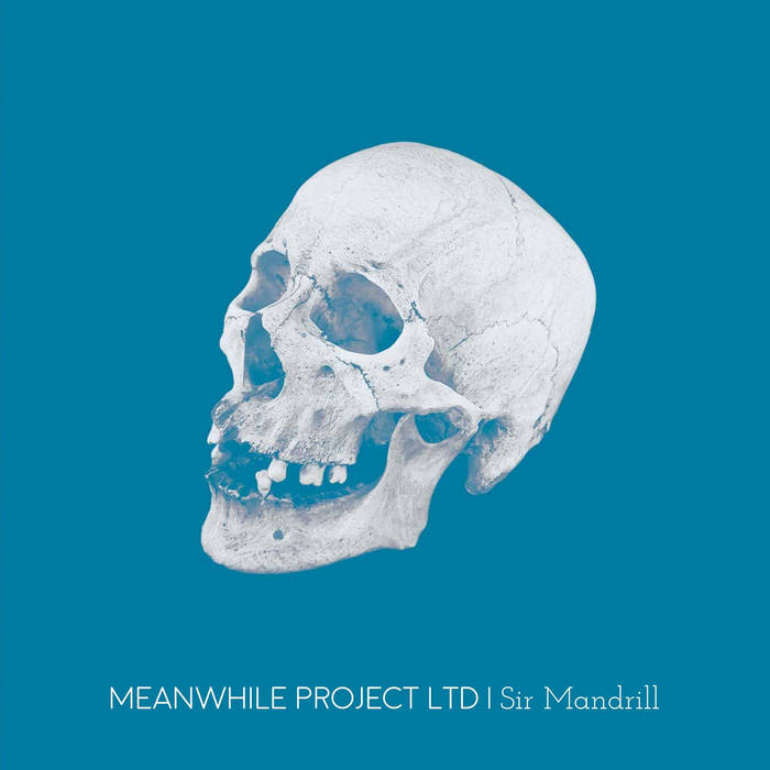 Sir Mandrill - MEANWHILE PROJECT LTD